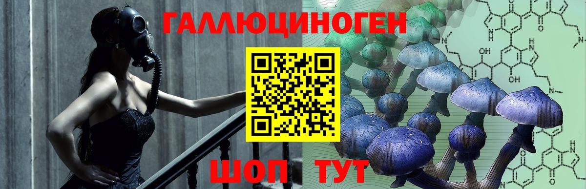 Россия  Галлюциногенные грибы ЛСД  Вход с VPN 